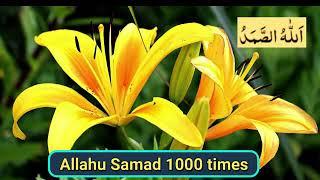 Allah hu Samad Zikr 1000 times