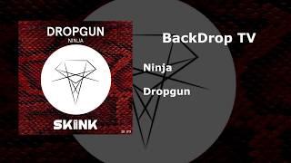 Skink Records (Best Drops)