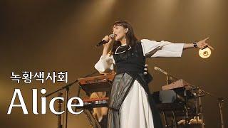 [LIVE] 녹황색사회(緑黄色社会) - Alice