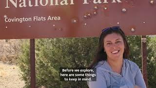 Backcountry Driving at Joshua Tree National Park