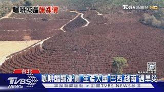 巴西.越南旱災衝擊! 咖啡產量大減「恐釀漲價」｜十點不一樣20241022 @TVBSNEWS01