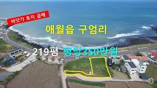 [ 급매 ]   제주 해안2차선도로에 접한 ｜바닷가토지 ｜애월읍 구엄리 219평 평당350만원  010-3318-5088