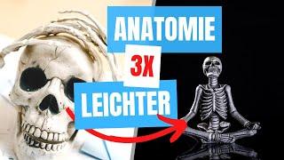 Mach diese 12 Sachen, um NICHT in Anatomie durchzufallen!