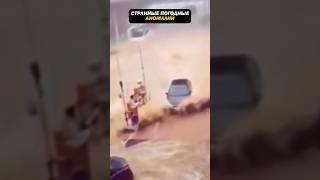 Наш климат начал меняться? Странные природные аномалии