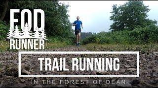 Trail Running In The Forest Of Dean | FOD Runner