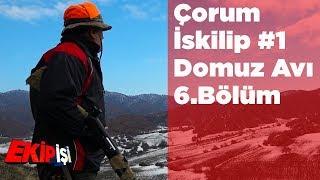 Çorum - İskilip Domuz Avı 1 Ekip İşi 6.Bölüm Yaban Tv Wild Boar Hunting