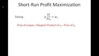 Profit Maximization