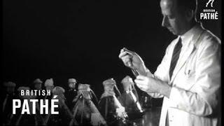A Miracle From A Mould  AKA Alexander Fleming & Penicillin Discovery (1944)
