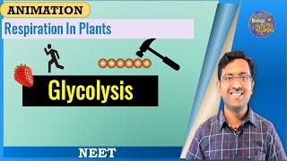 Glycolysis I NEET I Dr Kunal Tatte (KT)