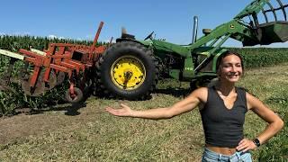 59 Year Old Tractor | Growing Sweet Corn For CHEAP