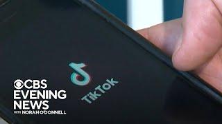 TikTok influencers file lawsuit against U.S. government