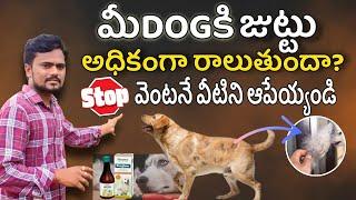 how to control dog hair fall | huge hair loss treatment at home in telugu