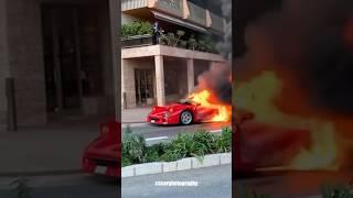 FERRARI F40 BURNS DOWN IN MONACOTHE LEGENDARY STRAIGHT PIPED F40 FROM MONACO #ferrari #f40 #monaco