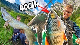 40cm XXL Köder fängt Monsterhecht am Vereinssee!!!