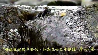 世故在流水中洗滌    友情在世故中惊喜