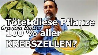 Diese PFLANZE kann 100 % der KREBS-ZELLEN bekämpfen?!