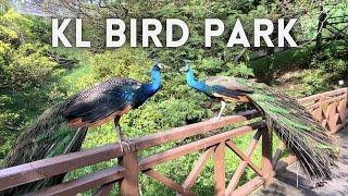  KL Bird Park 2023 - Walk Tour