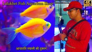 Exotic Fish at Lalukhet Aquarium Fish Shop 2024 Karachi | कराची शॉप पर विदेशी मछलियाँ