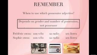 Week 19 Video Lesson 2:3 Les adjectifs possessifs