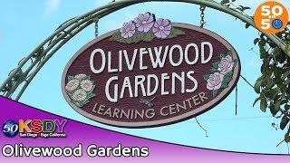 50 en 50 - Olivewood Gardens