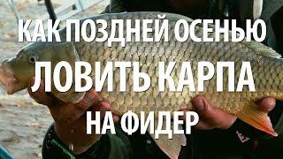 ПЛАТНАЯ РЫБАЛКА на КАРПА ПОЗДНЕЙ ОСЕНЬЮ на ФИДЕРНЫЙ ФЛЕТ МОТОД в ПОДМОСКОВЬЕ