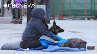 More than 80,000 people in Ontario were homeless in 2024, new report finds