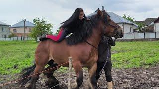 СПРАВЖНЯ ГУЦУЛКА,КОНЯ НА СКАКУ ЗУПИНИТЬ/В ІГІ ЗНОВУ ПОБАЧЕННЯ ️