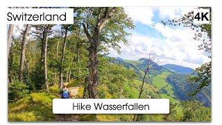 Wasserfallen Wanderung (Baselland, Switzerland) 4K