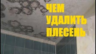 Как удалить плесень с помощью "НИЧЕГО"??