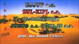 07 - Ejjub a.s., Zul-kifl a.s., Ashabu-ress, Junus a.s. i Šuajb a.s.