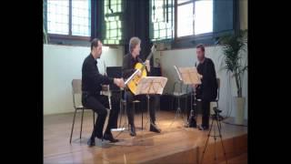 DE ROSSI RE VENUS'SONG TRIO ALTROVE Gisbert Watty-Luciano Tristaino-Marcello Bonacchelli.avi