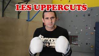 BOXE : LES UPPERCUTS [ techniques / tutos / points clés ]