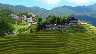 Longji Rice Terraces.Guilin
