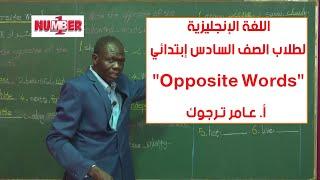 اللغة الإنجليزية |  "Opposite Words" | أ.عامر ترجوك | حصص الصف السادس