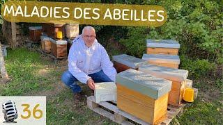 36 - L'expert des maladies de l'abeille - Samuel Boucher