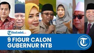 9 Figur Ini Berpotensi Jadi Calon Gubernur NTB di Pilgub 2024, Sosok Suhaili hingga Sitti Rohmi