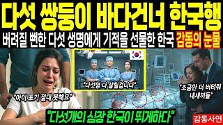 “다섯 쌍둥이 포기 못한 터키 부부, 전 재산 걸고 한국행┃해외감동사연┃해외실화사연”