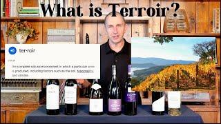 What is Terroir in Wine? | Elma Wine & Liquor