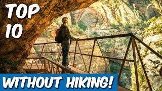 TOP 10 Things to do in Zion National Park (No Hiking Required!)