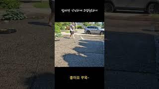 앞마당 간단하게 고압청소하기...oddly satisfying #pressurewashing #청소 #고압세척기 #깨끗한