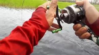 Shimano calcutta conquest BFS Hg + Storm discovery 1-4lb + kerandang