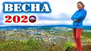 Весна на Камчатке. Ироничное стихотворение о весне
