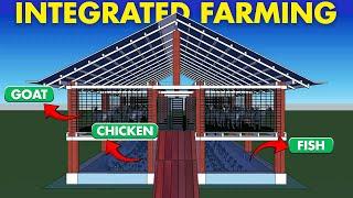 Goat Chicken Fish Integrated Farm | Fish Farming, Goat Farming, Poultry Farming Together in One Shed