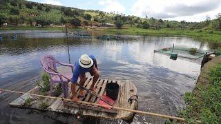 TENTANDO CAPTURAR O PEIXE GIGANTE DA LAGOA DE ANZOL + ENCHENDO O POÇO