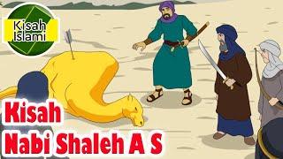 Nabi Shaleh A S  - Kisah Islami Channel