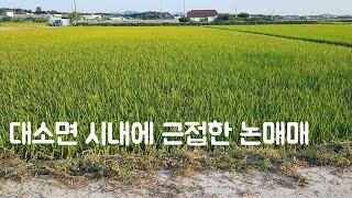 대소면 시내 근접한 위치좋은 논매매