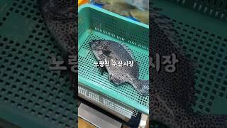 노량진수산시장 간판의 숨은 비밀