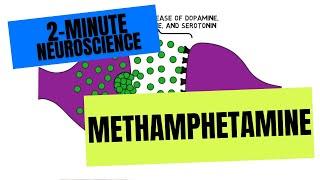 2-Minute Neuroscience: Methamphetamine