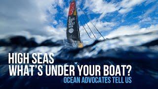 World Ocean Day: “What’s Under Your Boat?”