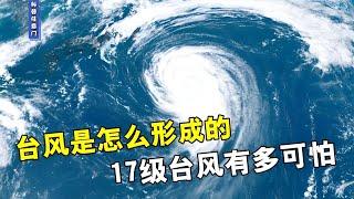 台风是怎么形成的，17级台风有多可怕，经历过的绝不想再来第二遍【科普任意门】